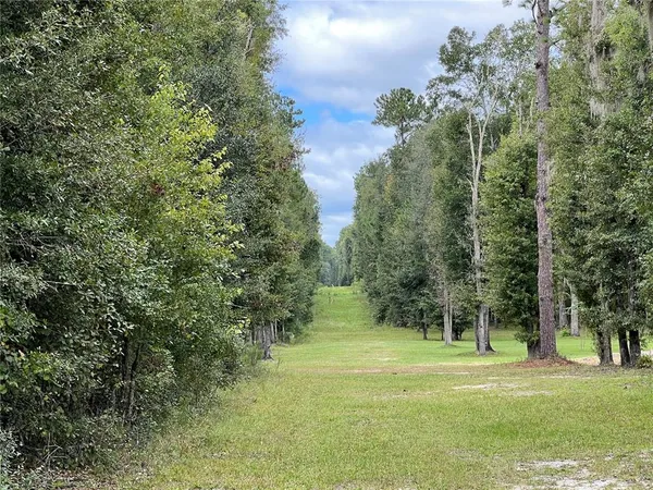 $110,000 | Tbd Northwest 145th Avenue, Williston, FL 32696