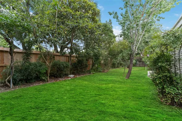 a view of a park with a tree