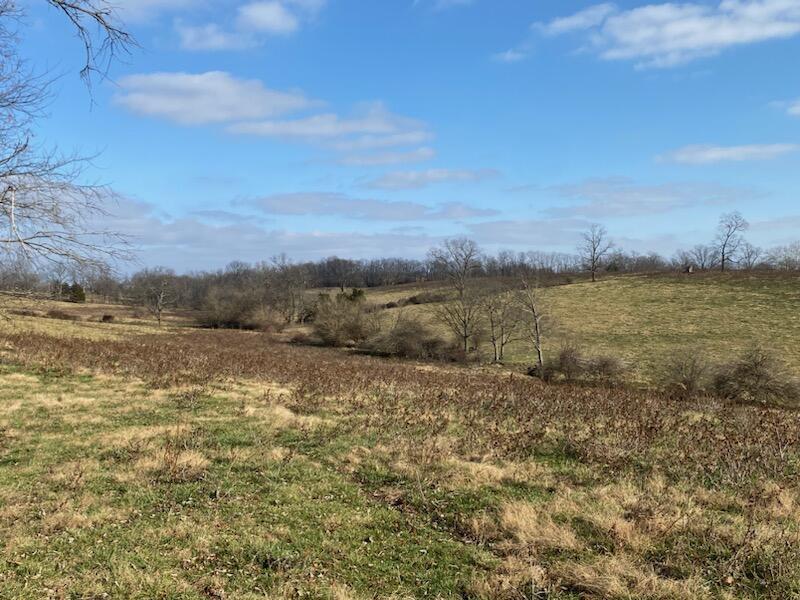 120271 Walnut Grove Road, Unit TRACT # 1 Carlisle, KY 40311 - Photo 27 of 39 27
