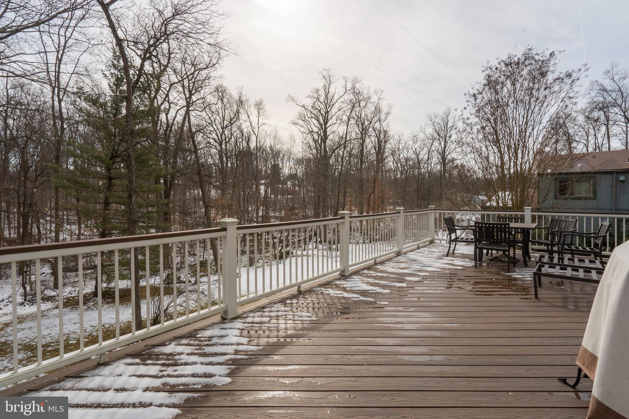 1053 Beaumont Road Berwyn, PA 19312 - Photo 44 of 63 Expansive Trex Deck