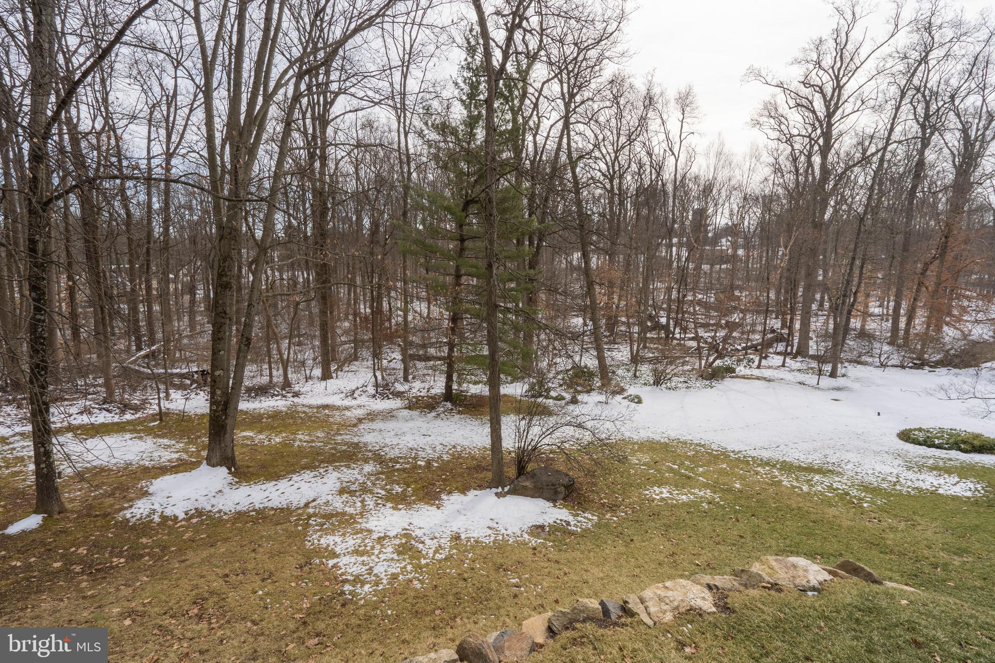1053 Beaumont Road Berwyn, PA 19312 - Photo 51 of 63 Picturesque views from the new Pella windows