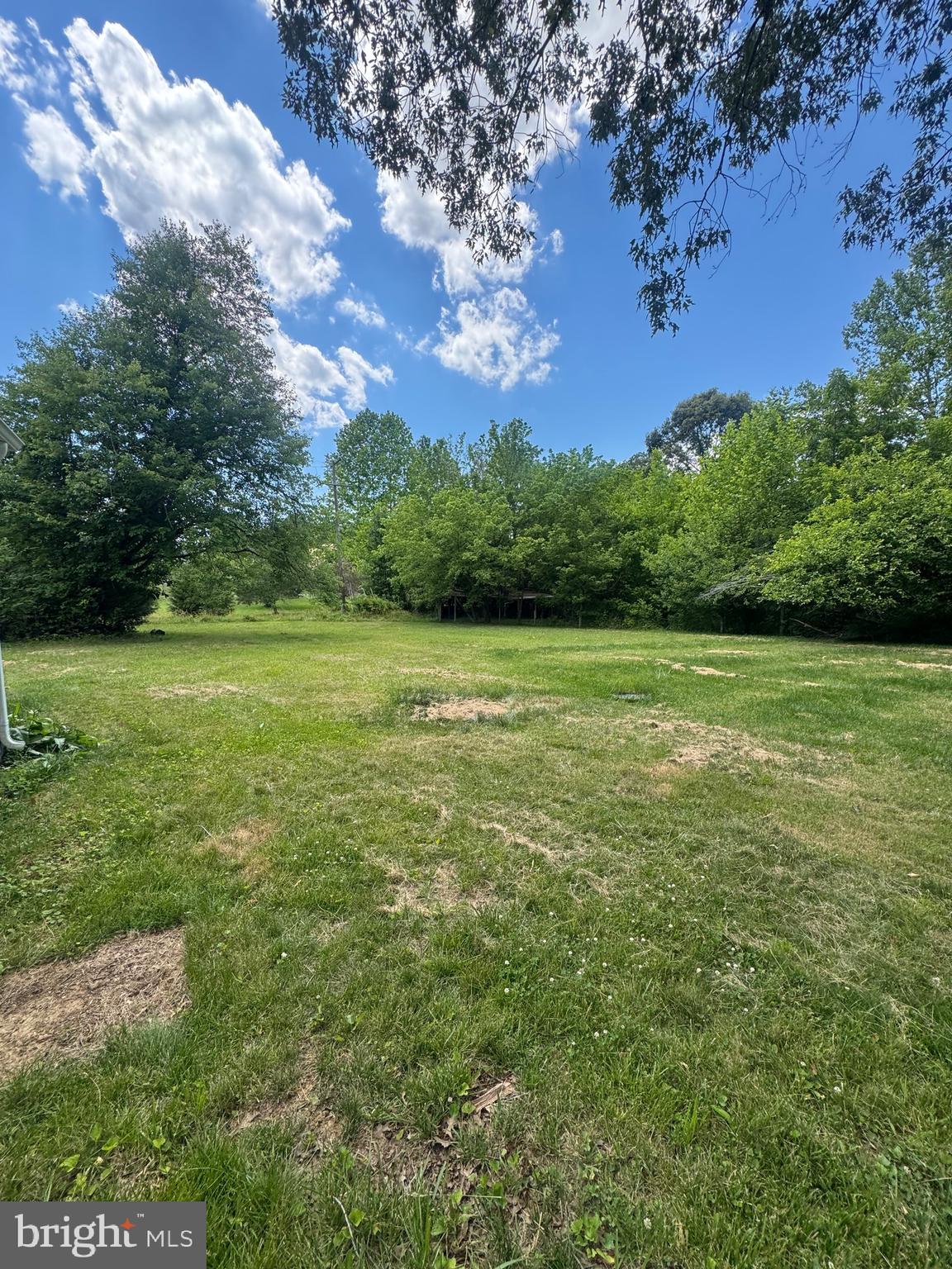 52 Joshua Road Stafford, VA 22556 - Photo 12 of 14 Yard