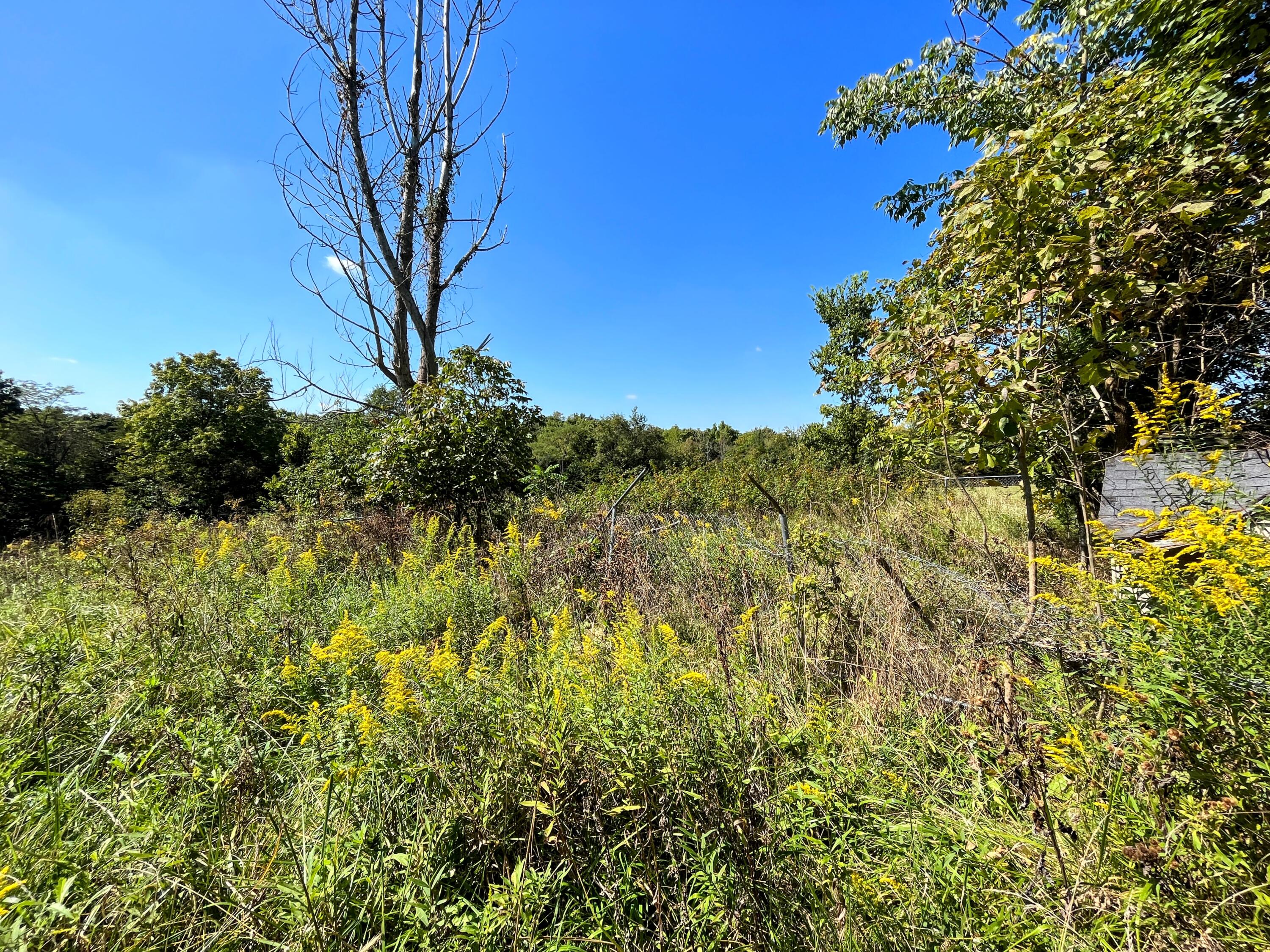 1783 Stephenson Road Walton, KY 41094 - Photo 15 of 16