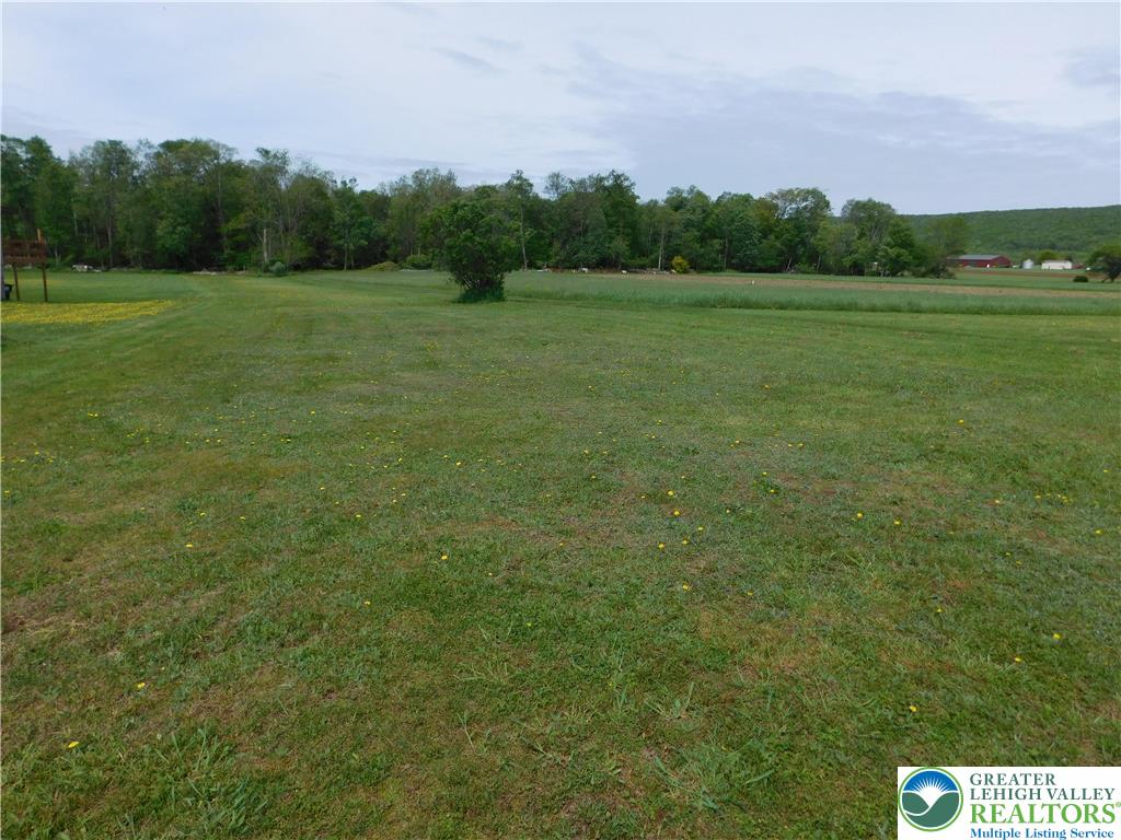3551 Quakake Road Weatherly, PA 18255 - Photo 9 of 12 A spacious, verdant expanse awaits, offering ample room for custom development amidst a scenic, natural backdrop.