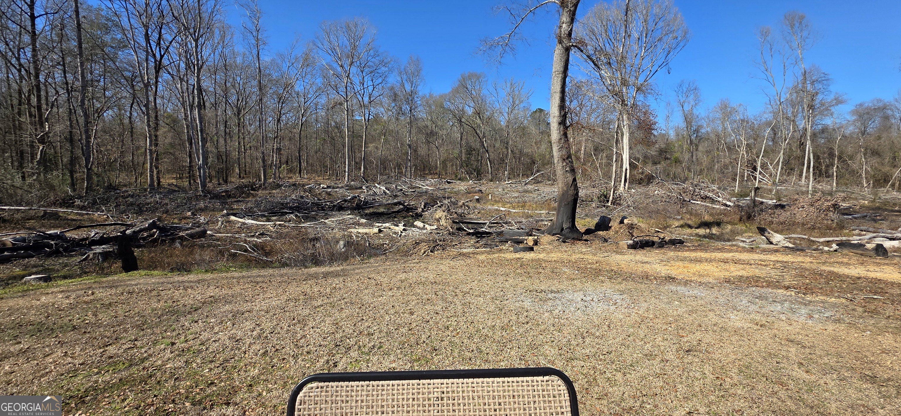 225 Lee Road Smiths Station, AL 36877 - Photo 46 of 49 View of backyard