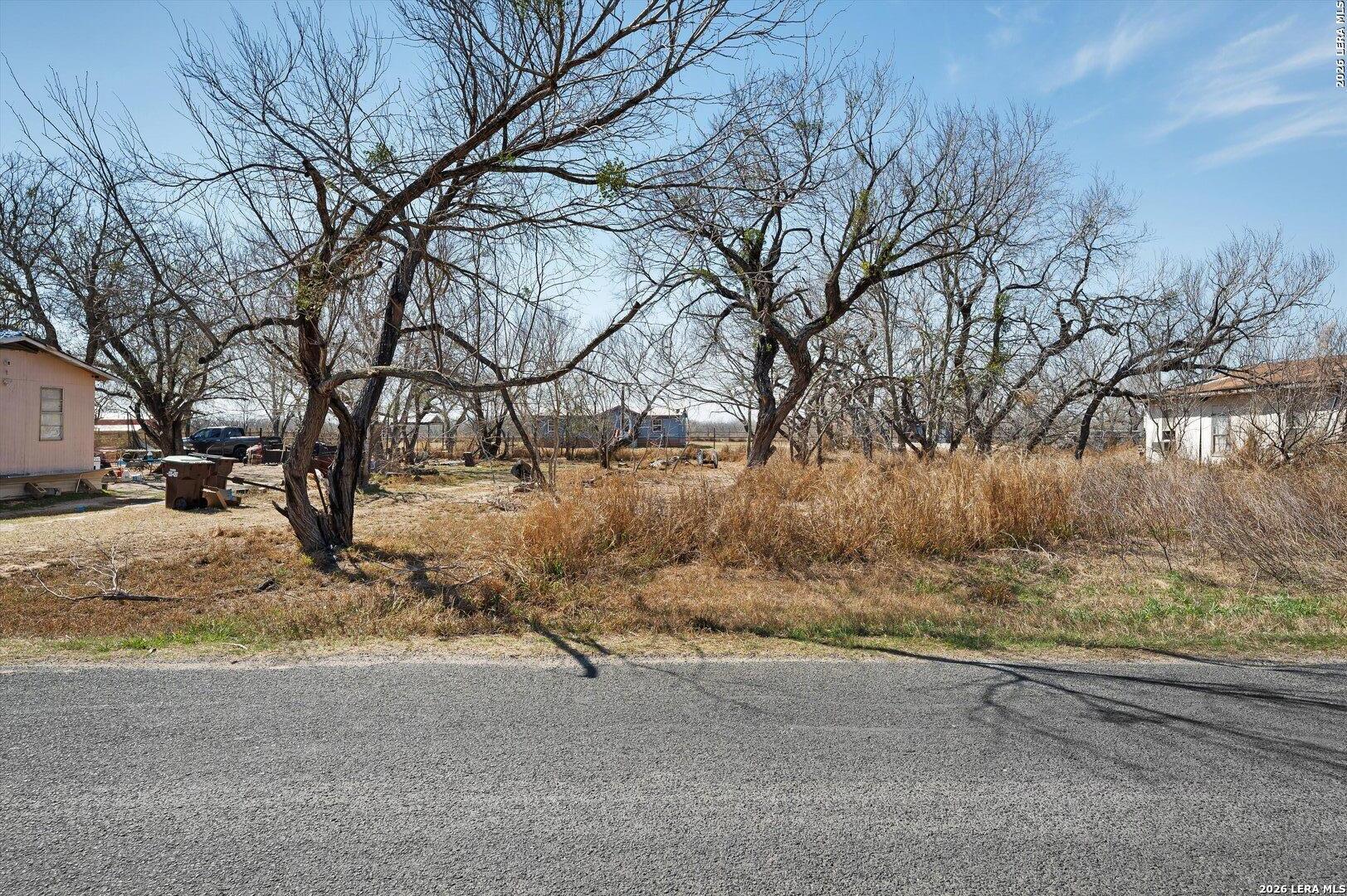 18829 Lagloria Road Elmendorf, TX 78112 - Photo 3 of 11 a view of dirt yard with a tree