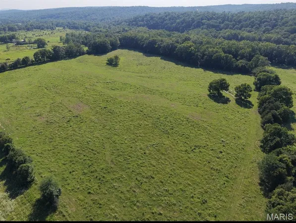 $240,500 | 0 U.S. Highway 67, Fredericktown, MO 63645