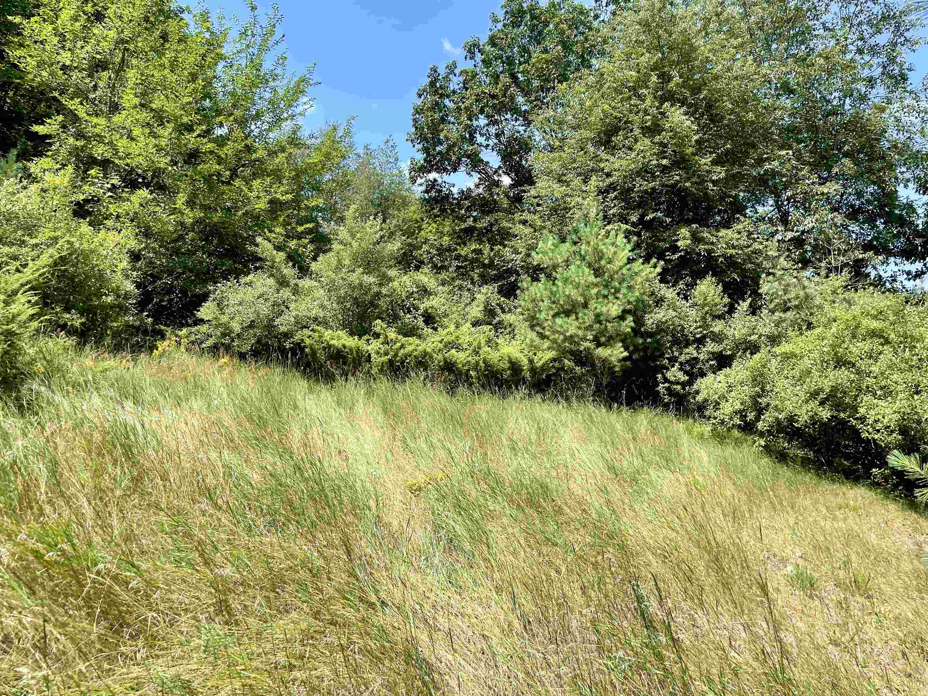 0 Bassil Road, Unit LOT: 36 Bellaire, MI 49615 - Photo 8 of 15