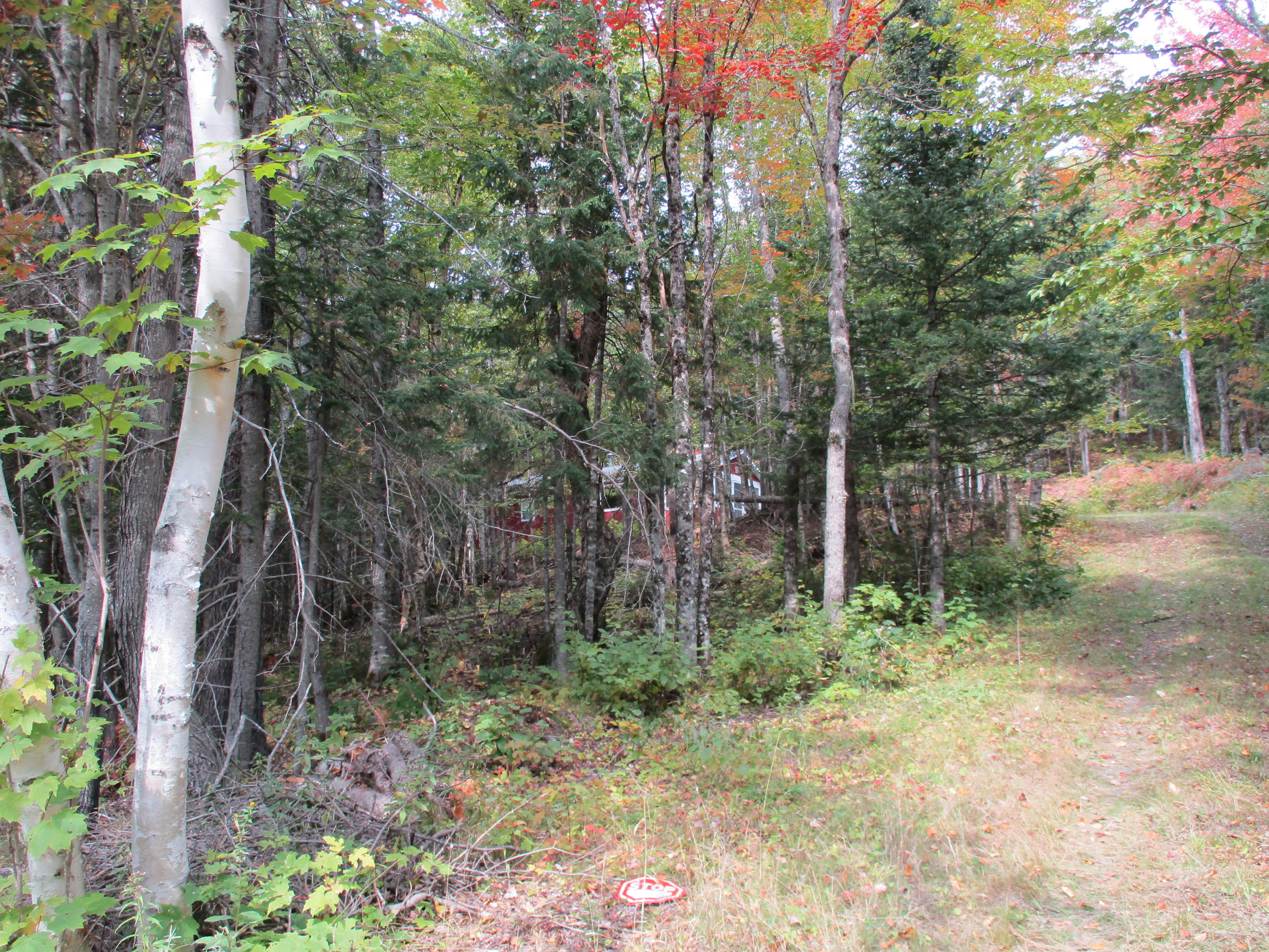 60 Little Black Road St. Francis, ME 04774 - Photo 30 of 35 IMG_1261