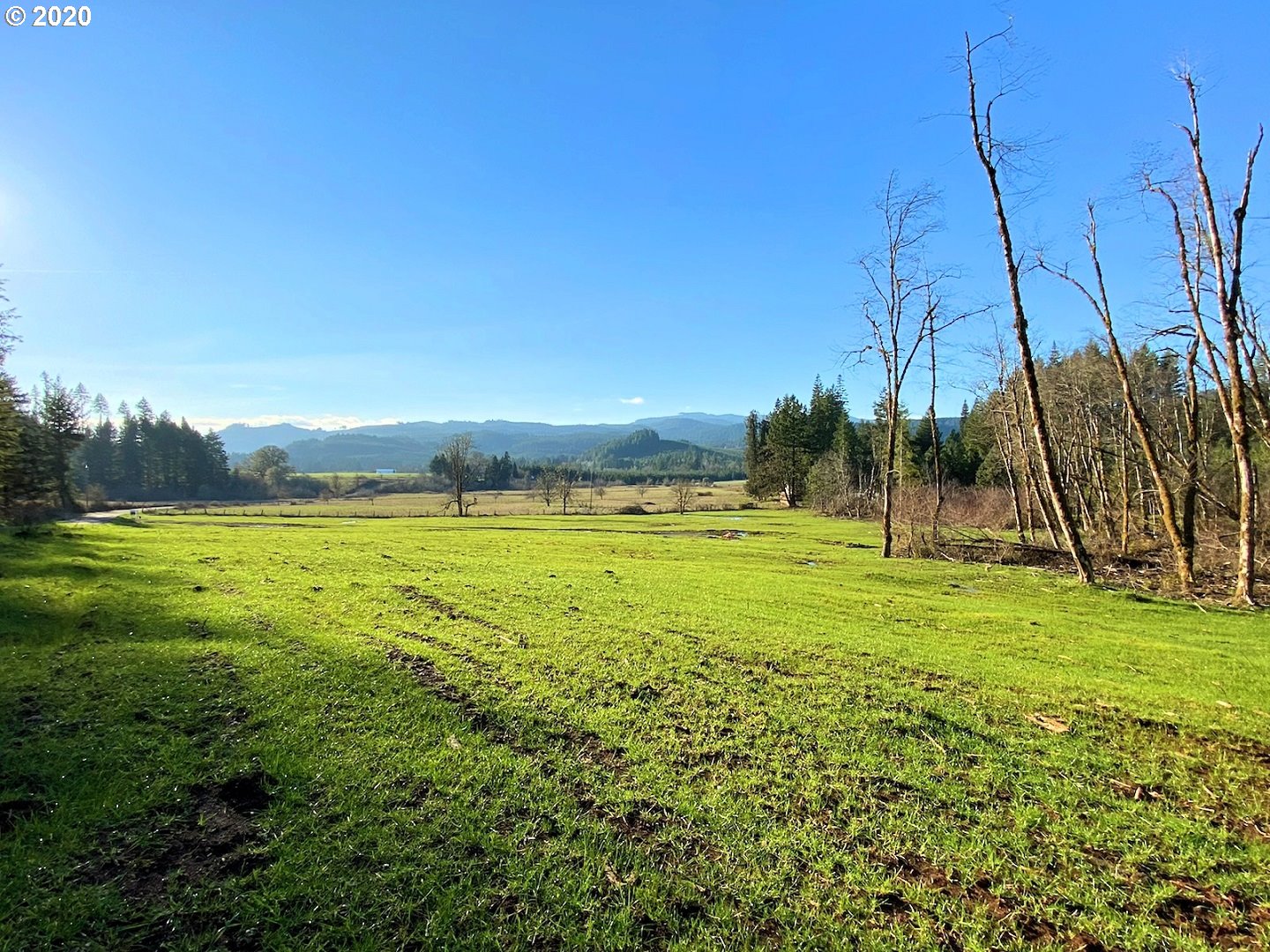Hileman Road Marcola, OR 97454 - Photo 1 of 10 Gallery Image 1
