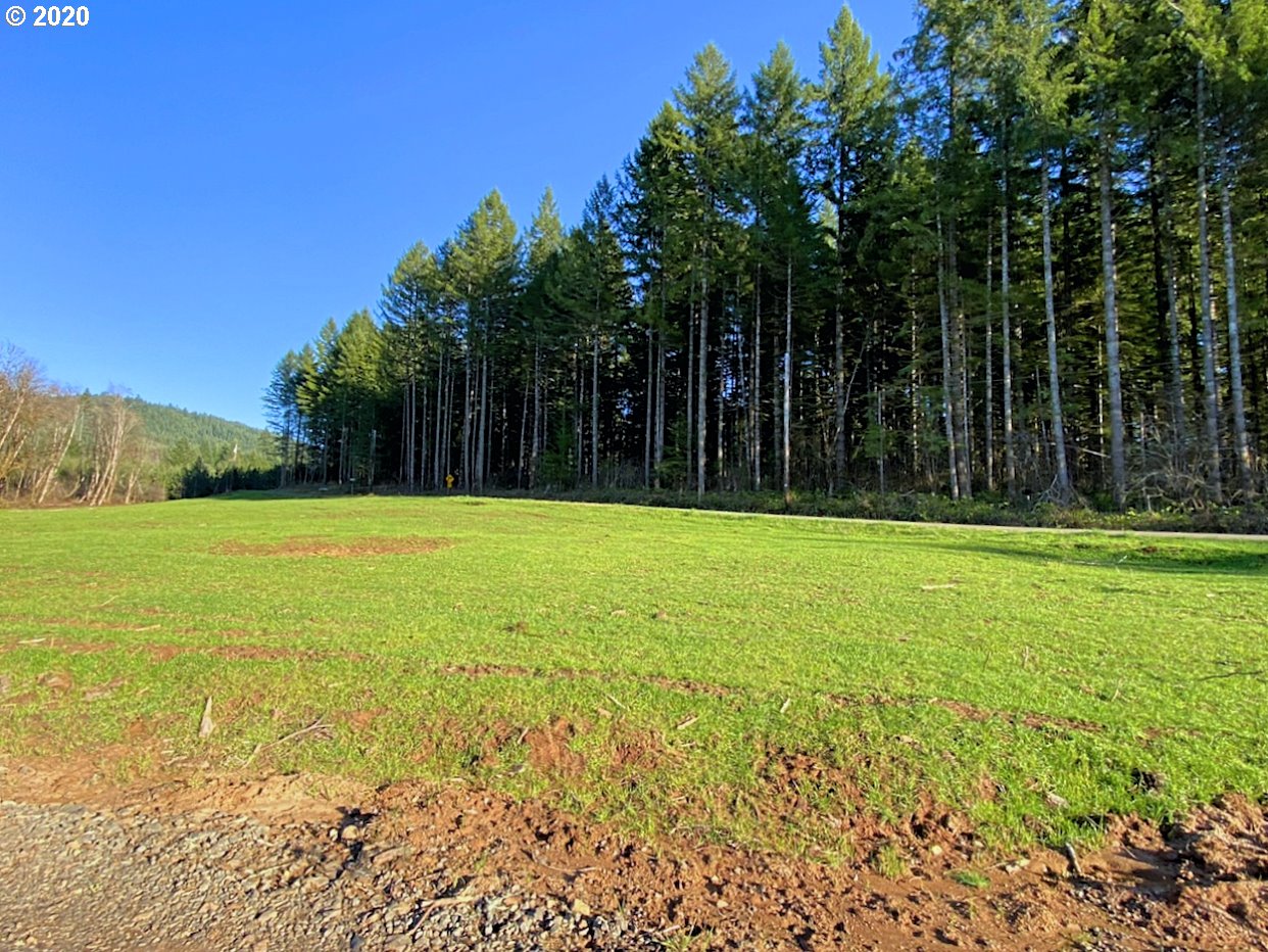 Hileman Road Marcola, OR 97454 - Photo 3 of 10 Gallery Image 3