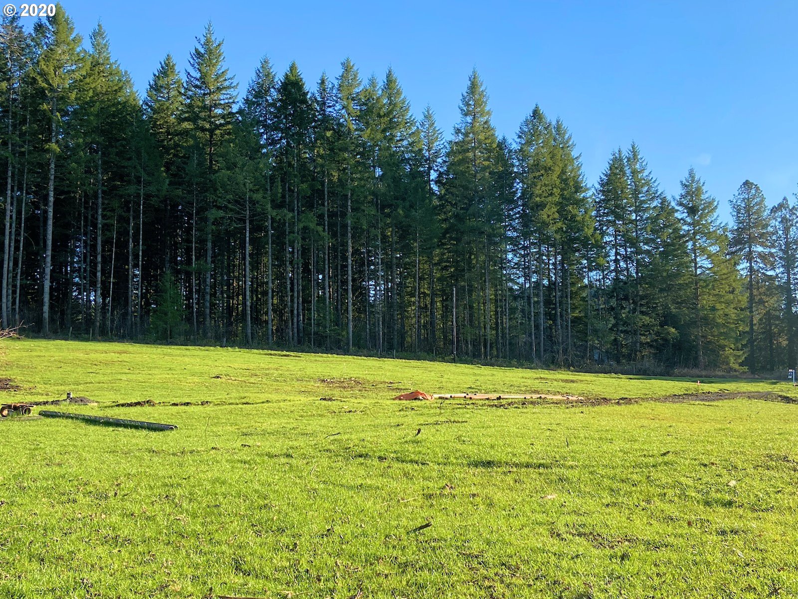 Hileman Road Marcola, OR 97454 - Photo 4 of 10 Gallery Image 4