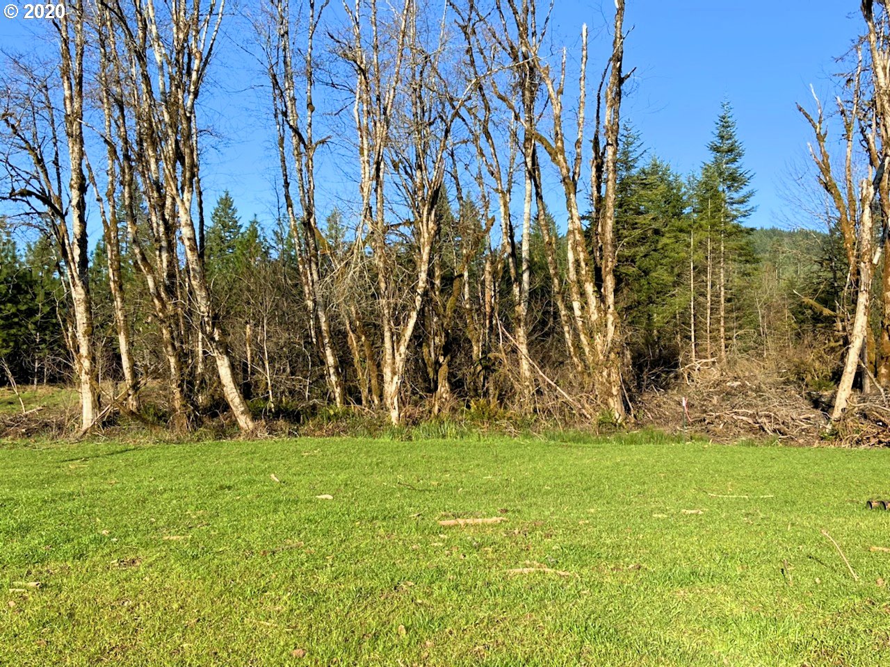 Hileman Road Marcola, OR 97454 - Photo 5 of 10 Gallery Image 5