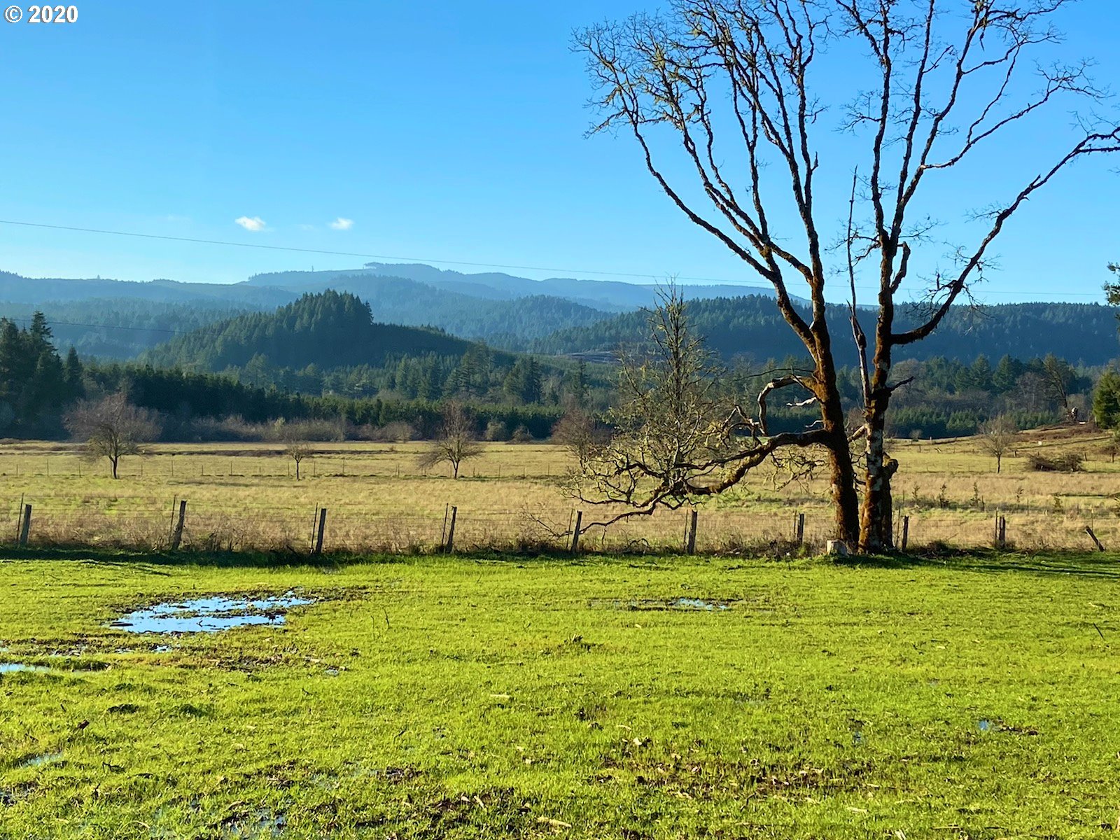 Hileman Road Marcola, OR 97454 - Photo 8 of 10 Gallery Image 8