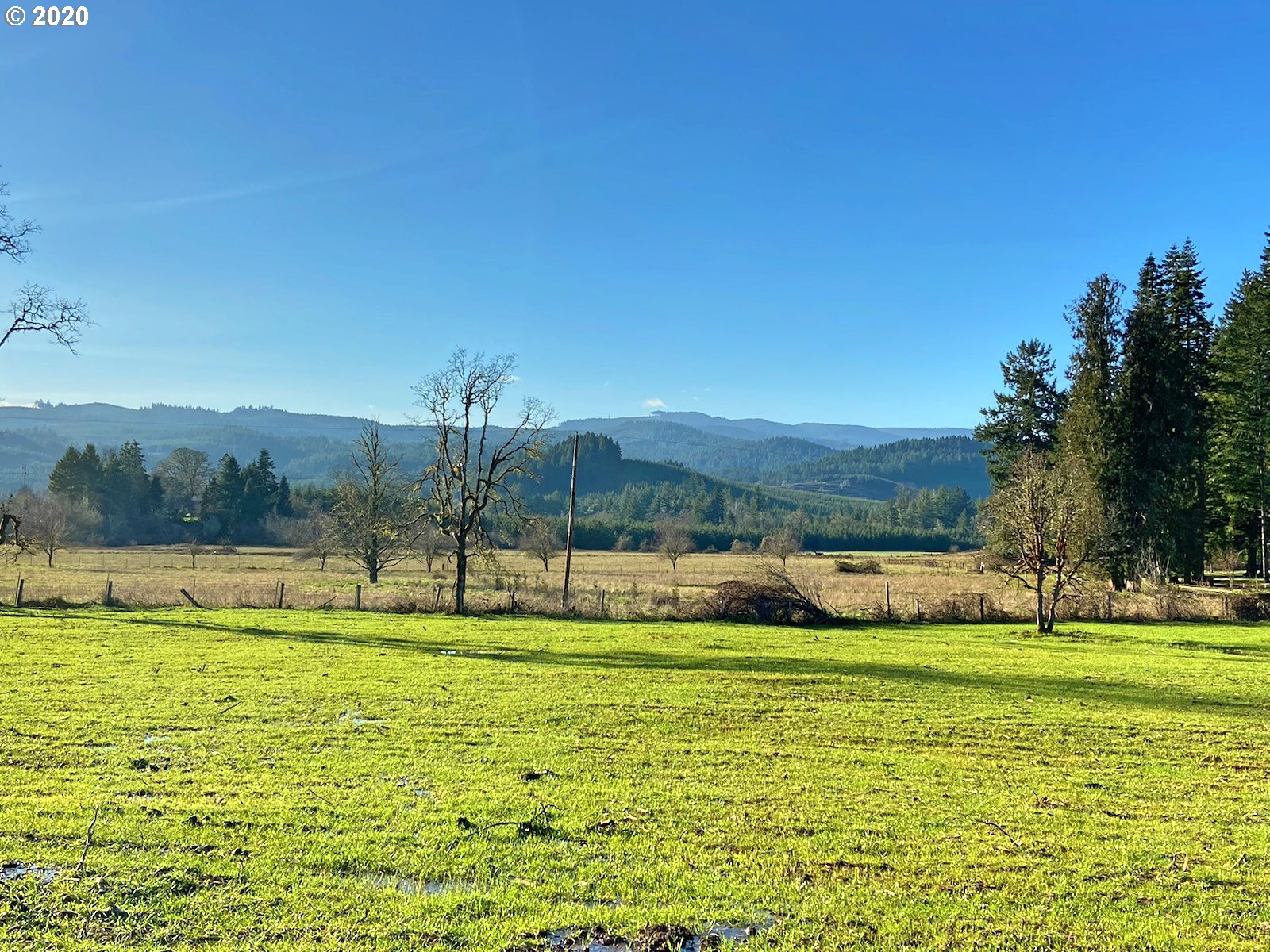 Hileman Road Marcola, OR 97454 - Photo 10 of 10 Gallery Image 10