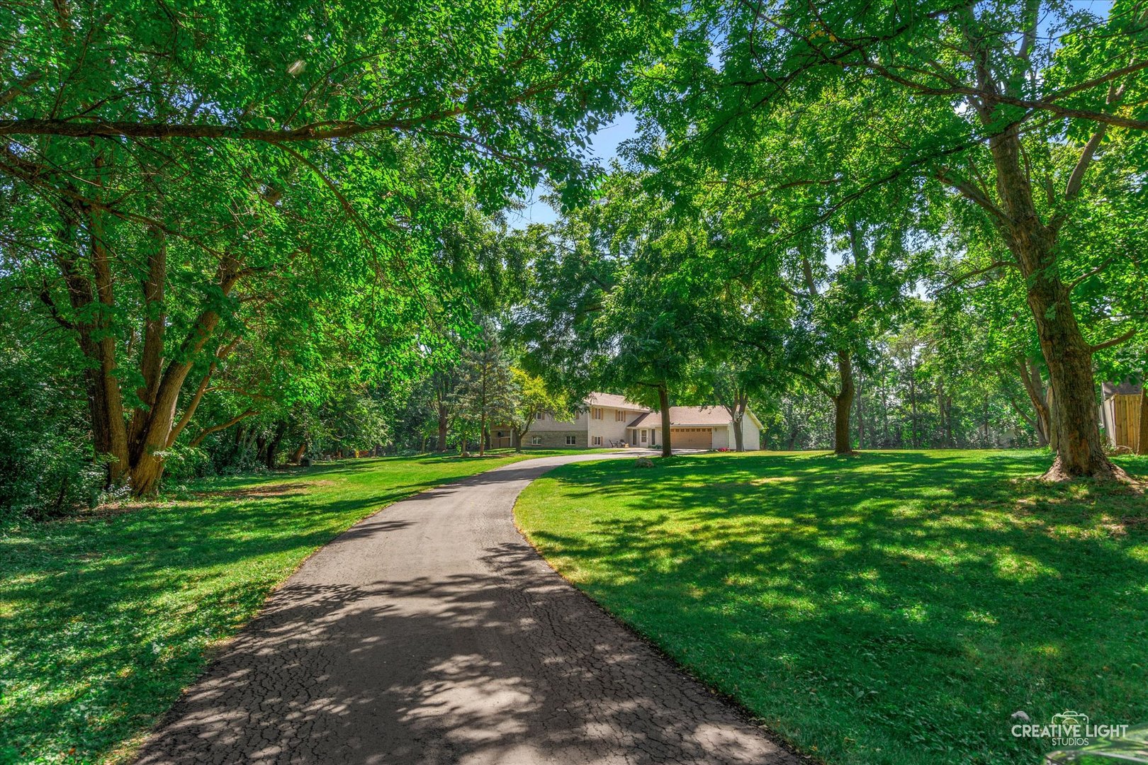a view of a backyard with large trees
