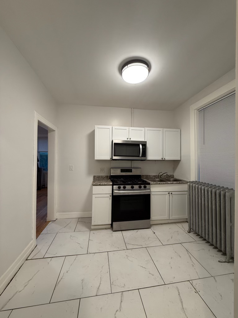 6928 South Green Street, Unit 1S Chicago, IL 60621 - Photo 6 of 12 a kitchen with stainless steel appliances granite countertop a sink and white cabinets