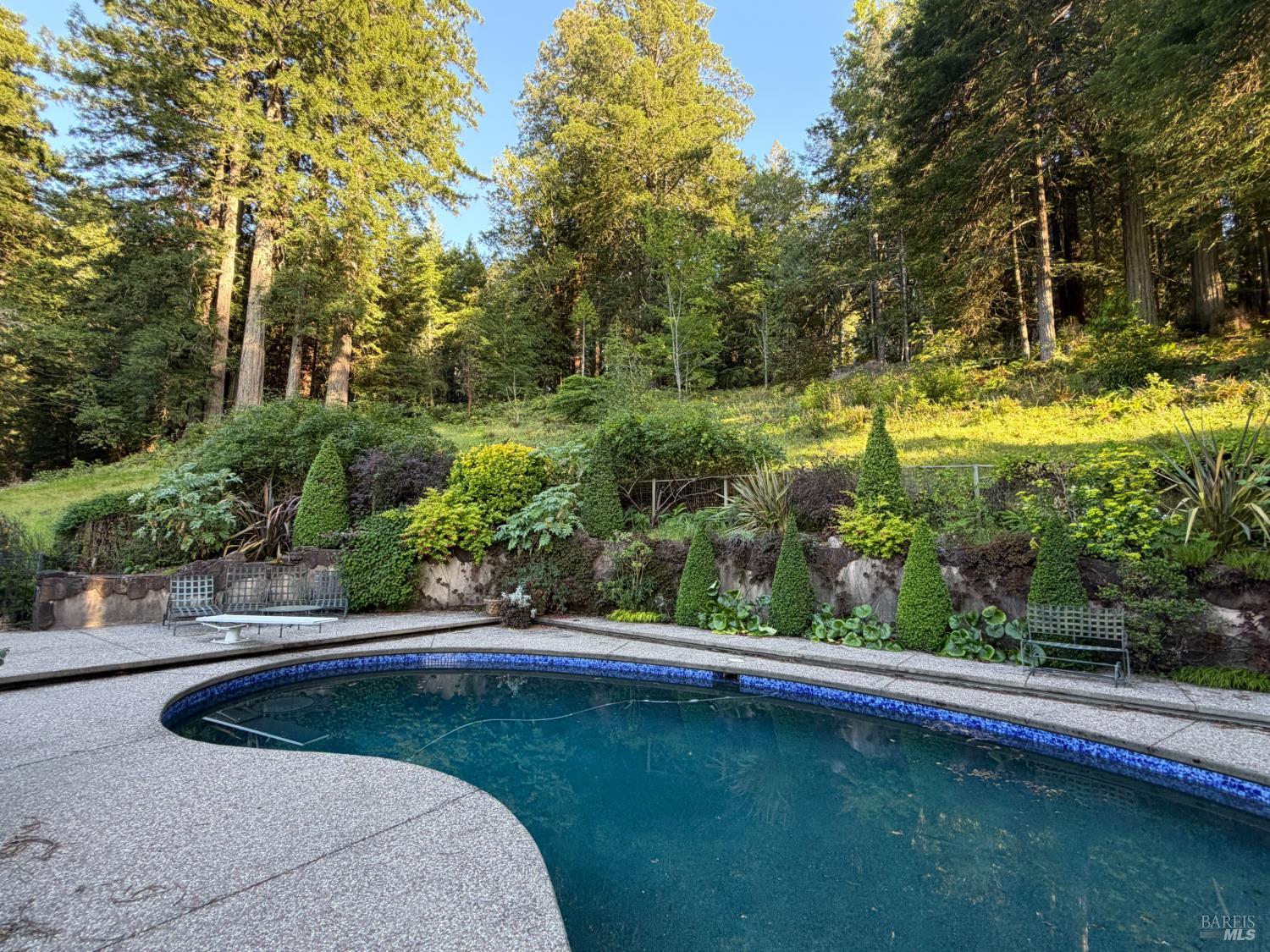16875 Coleman Valley Road Occidental, CA 95465 - Photo 31 of 78