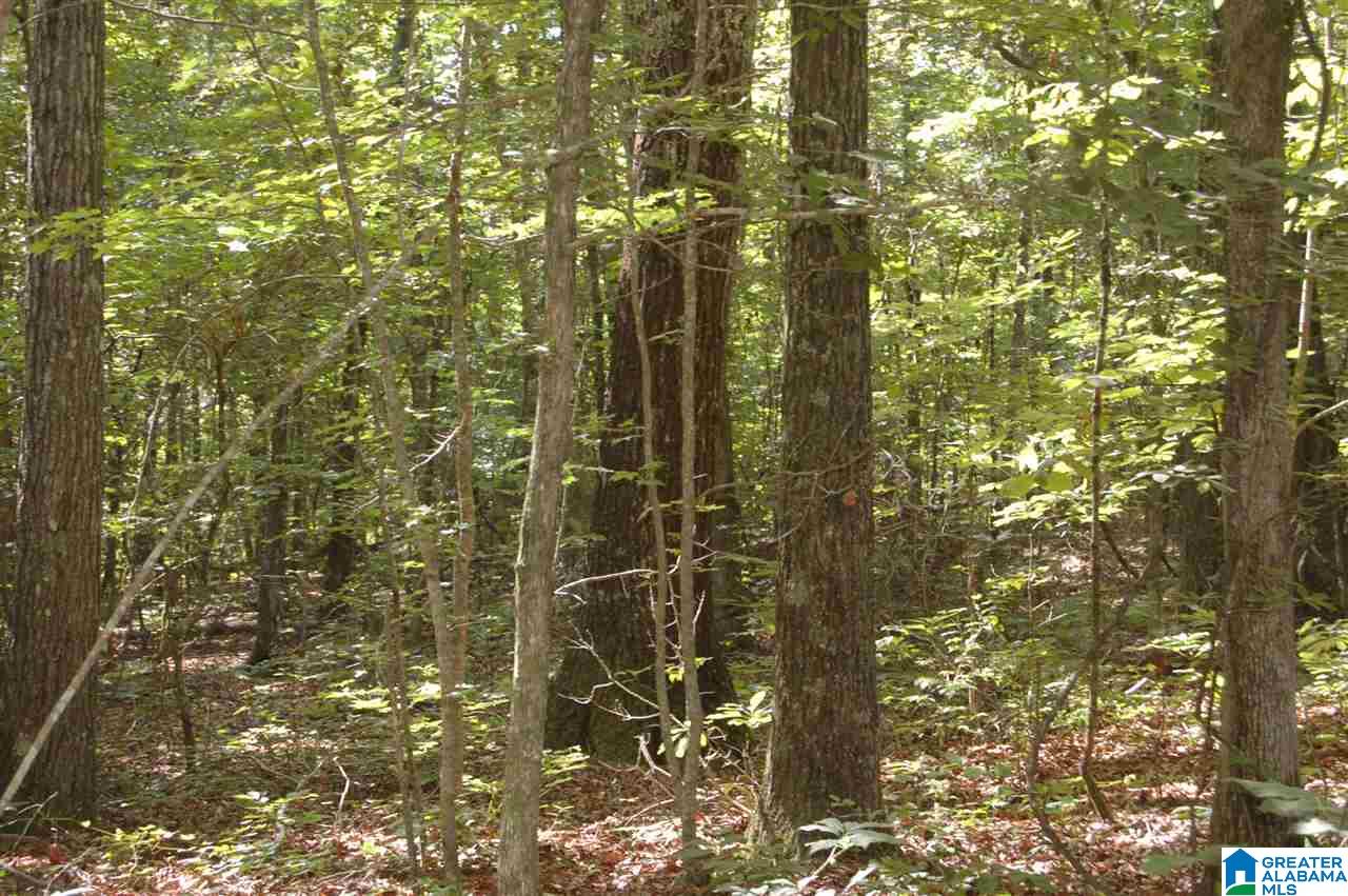 5 Highway Ac Al, Unit 96 23 Woodstock, AL 35188 - Photo 11 of 20