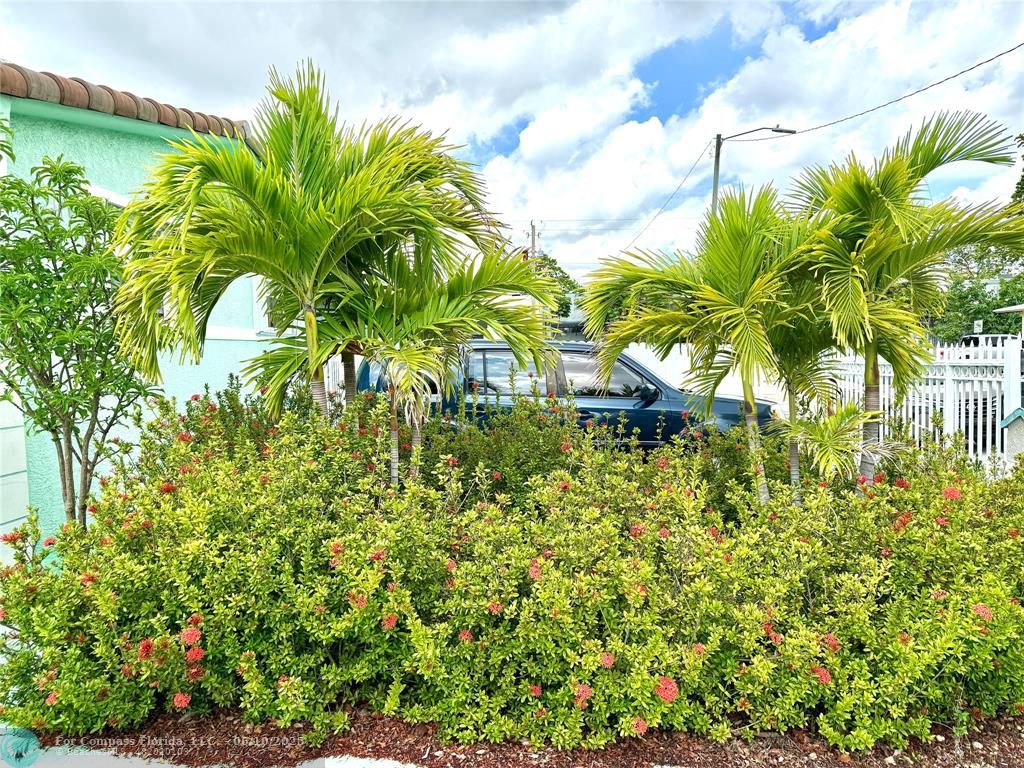430 Northeast 75th Street Miami, FL 33138 - Photo 2 of 11 a view of a garden