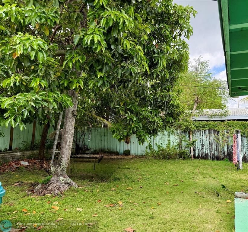 430 Northeast 75th Street Miami, FL 33138 - Photo 7 of 11 a view of a garden with a fountain