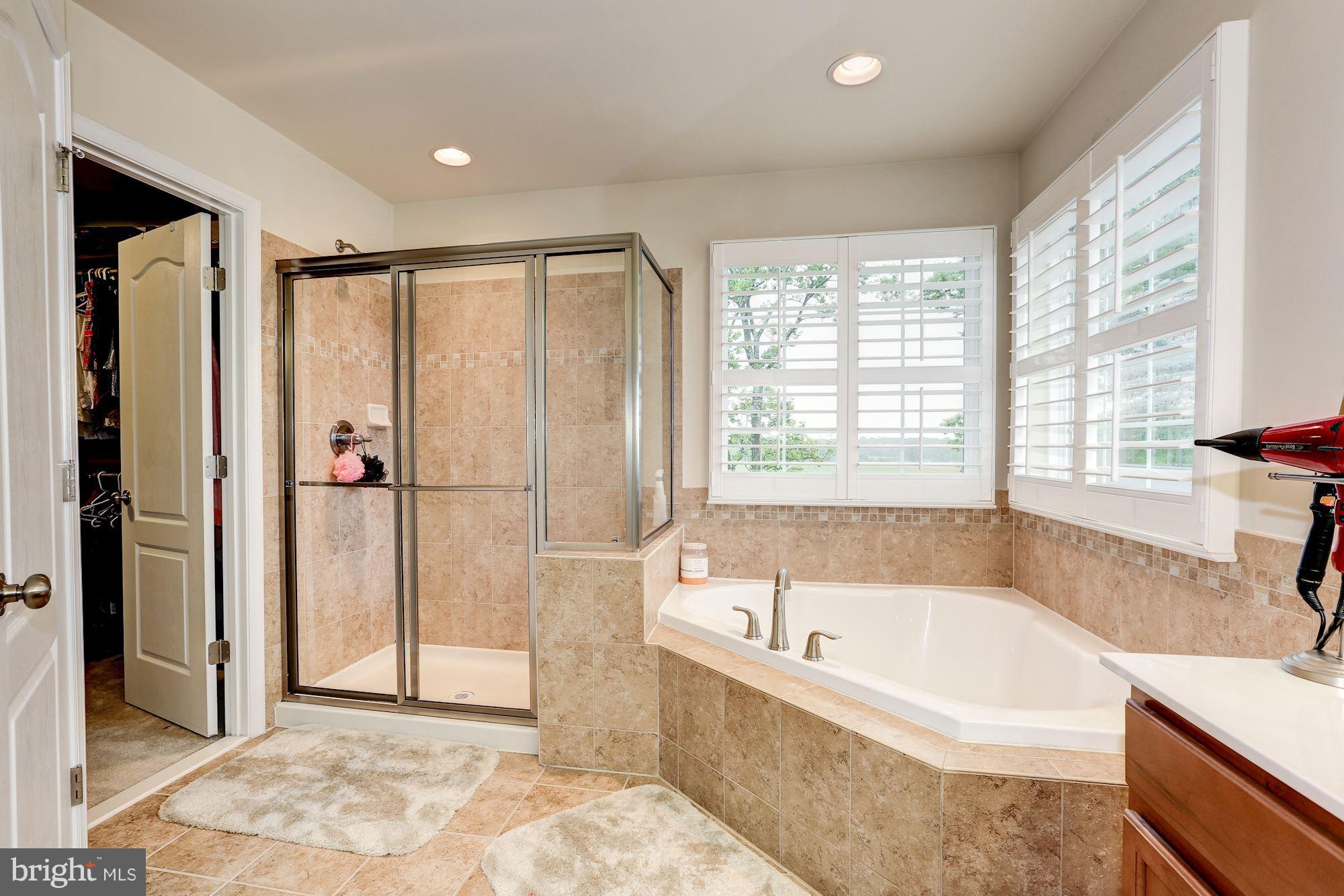 1737 Fletchers Drive Point of Rocks, MD 21777 - Photo 16 of 30 Bath (Master)