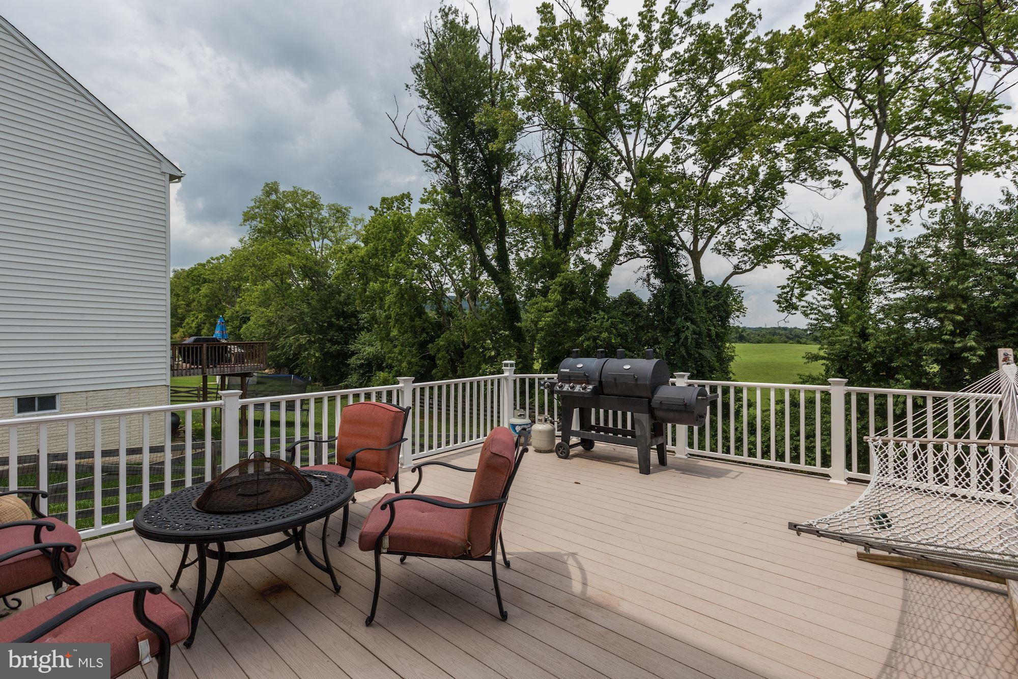 1737 Fletchers Drive Point of Rocks, MD 21777 - Photo 26 of 30 Exterior (Rear)