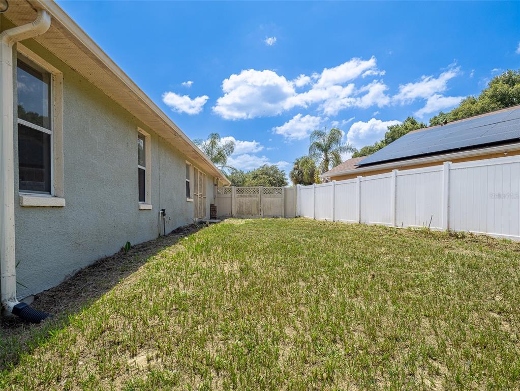 6569 Long Breeze Road Orlando, FL 32810 - Photo 31 of 31 a view of a backyard