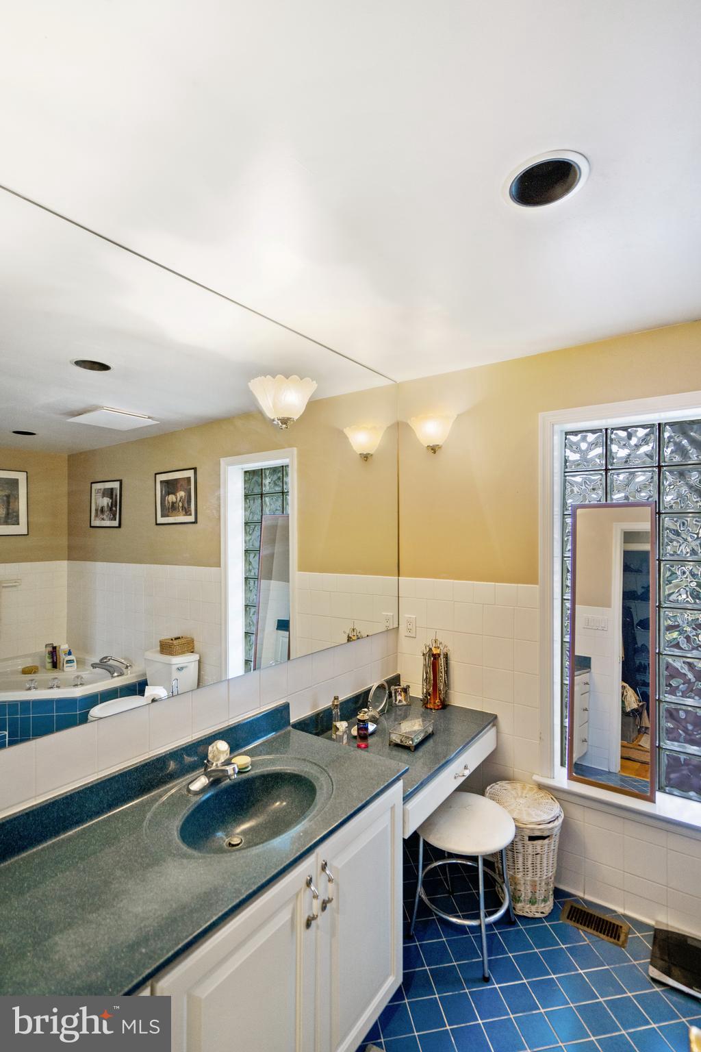 20316 Townsend Road Rohrersville, MD 21779 - Photo 33 of 76 Master Bath