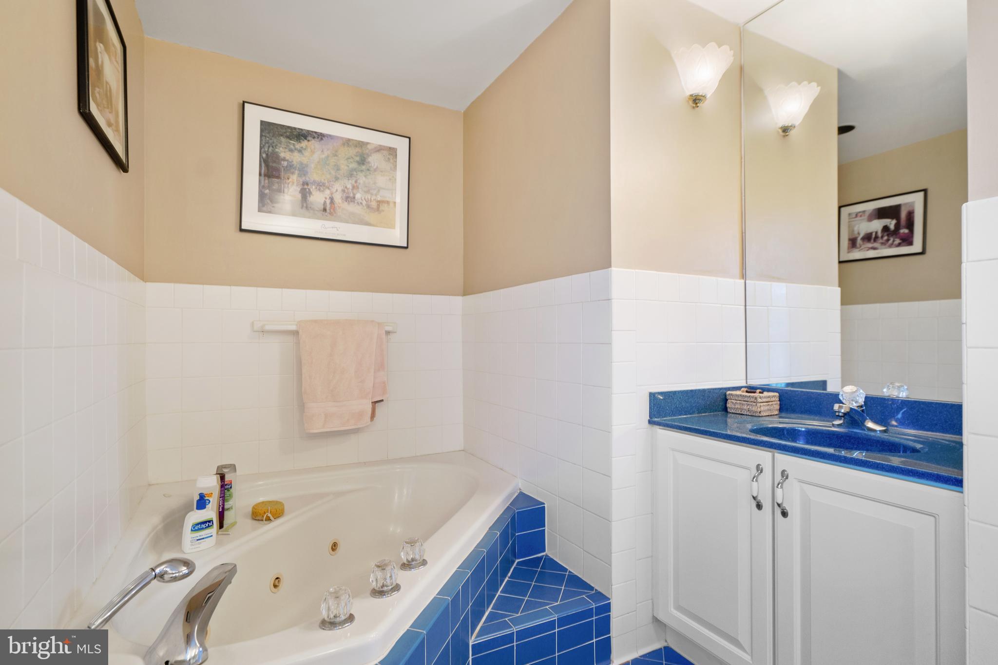 20316 Townsend Road Rohrersville, MD 21779 - Photo 34 of 76 Master Bath Soaking Tub