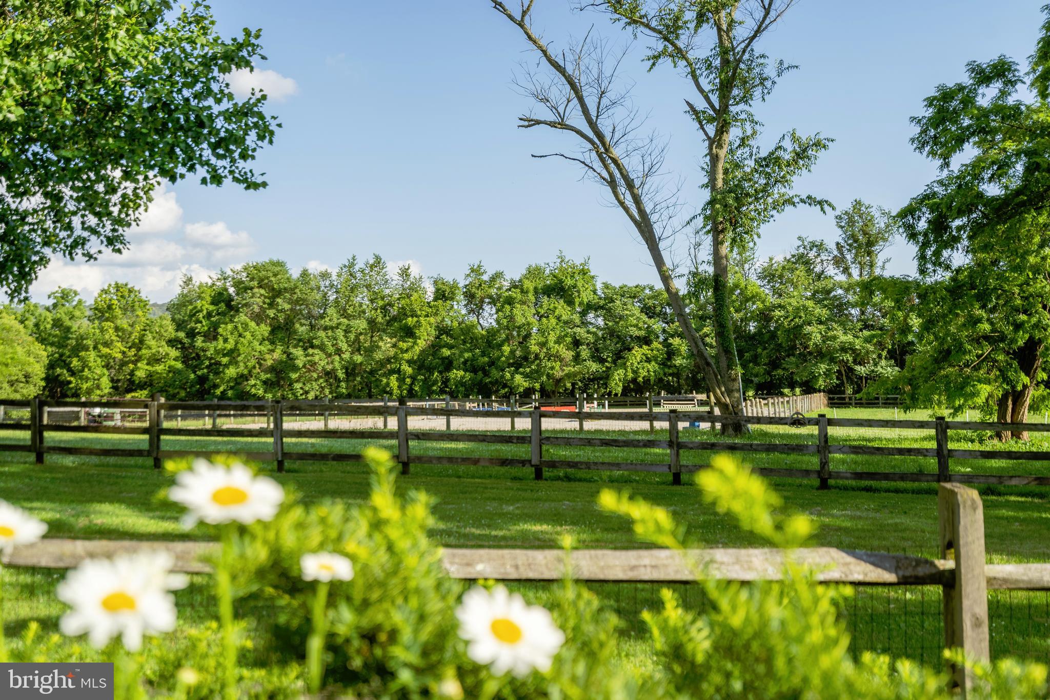 20316 Townsend Road Rohrersville, MD 21779 - Photo 52 of 76 View of Riding Ring from Pool