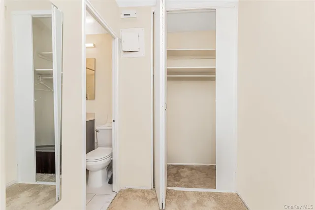 a bathroom with a toilet
