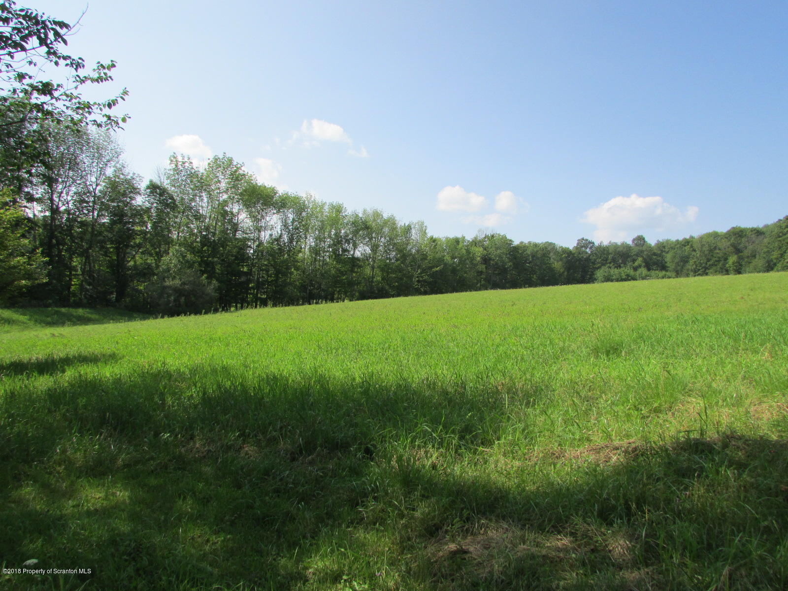 266 Brown Road Montrose, PA 18801 - Photo 44 of 47 a view of yard with green space