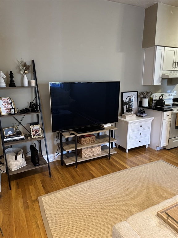 48 Mercer Street, Unit 1 Boston, MA 02127 - Photo 5 of 11