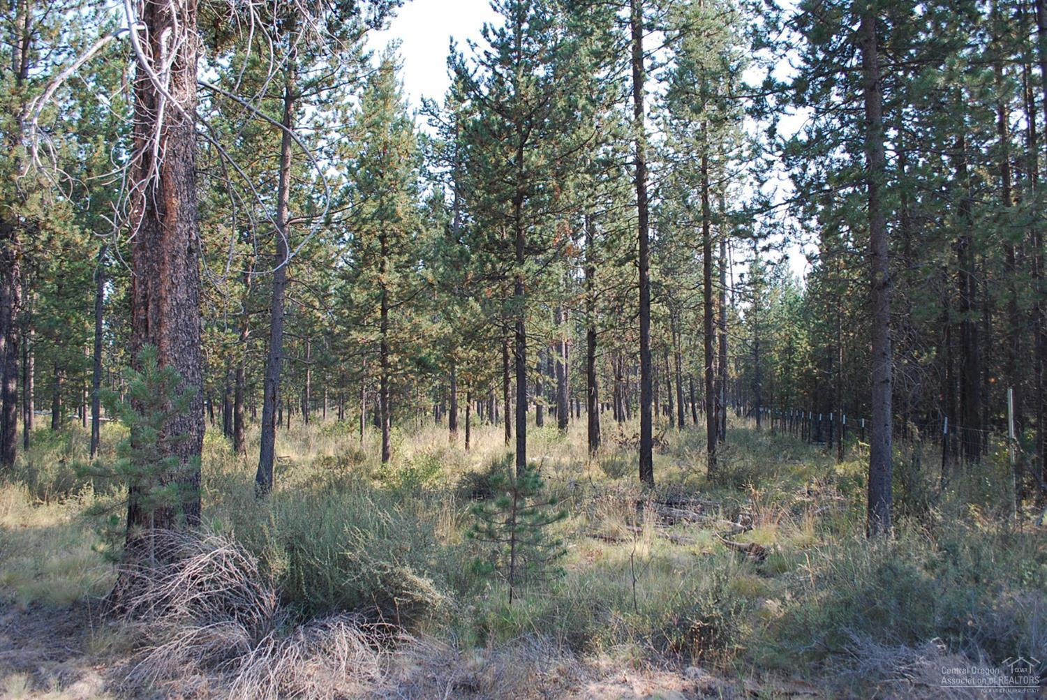 17137 Covina Road Bend, OR 97707 - Photo 9 of 11 Additional Photo