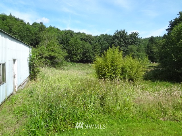2042 Delameter Road Castle Rock, WA 98611 - Photo 15 of 20 Gallery Image 15