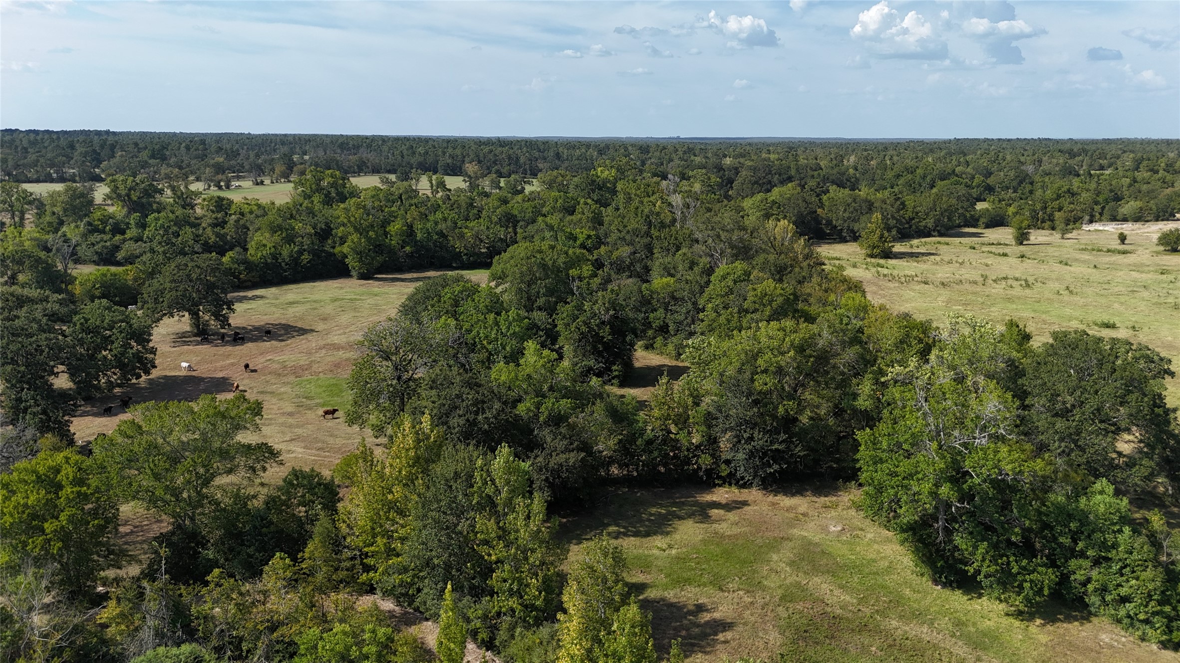 476 Rosenwall Road Huntsville, TX 77320 - Photo 9 of 12 Gallery Image 9