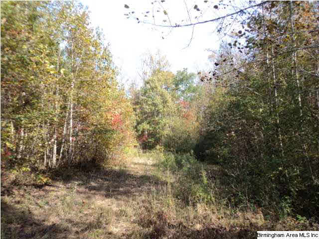 Blakes Ferry Road, Unit 77 Lineville, AL 36266 - Photo 15 of 18 Gallery Image 15
