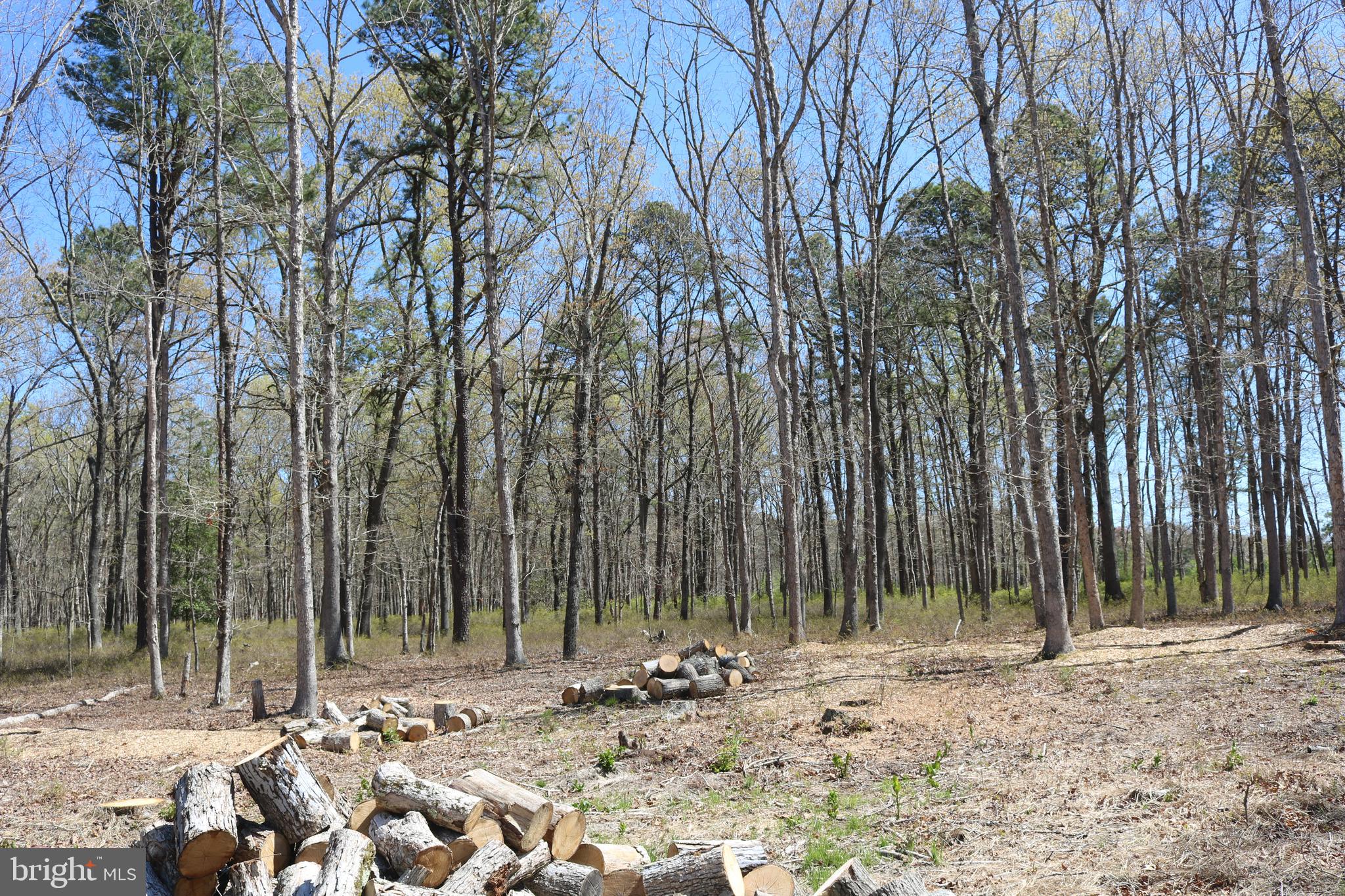 770 Whitehall Road Newfield, NJ 08344 - Photo 2 of 56