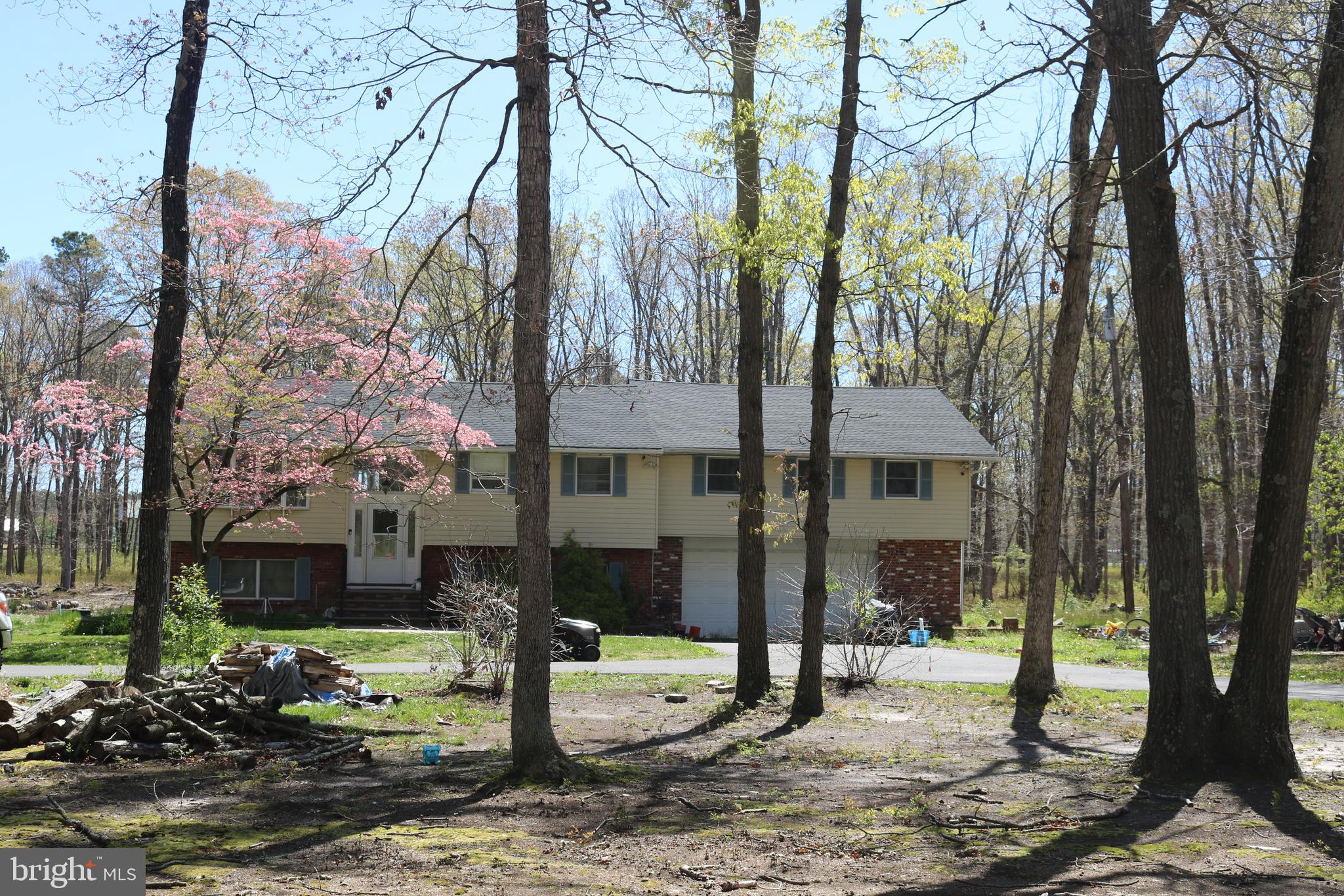 770 Whitehall Road Newfield, NJ 08344 - Photo 10 of 56 a view of a house with a tree next to a yard