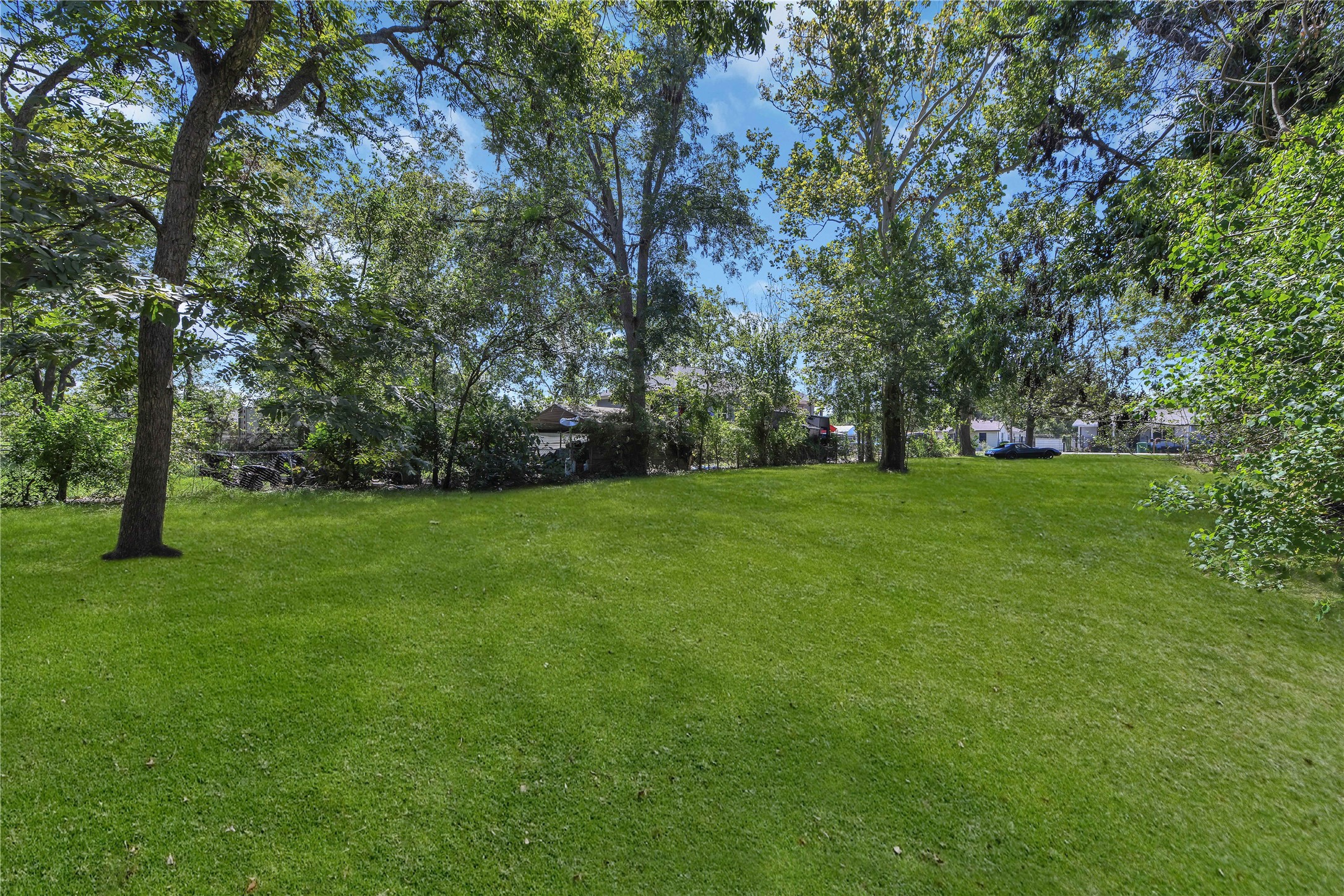 3914 Wipprecht Street Houston, TX 77026 - Photo 8 of 13 a view of green field with trees in the background