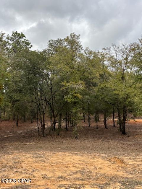 2816 Territory Road Chipley, FL 32428 - Photo 5 of 13