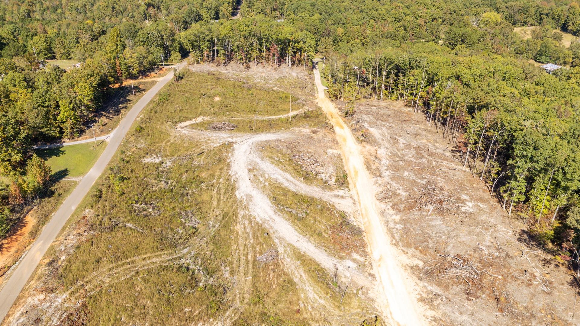 0 Greenleaf Loop Savannah, TN 38372 - Photo 11 of 27 a view of a yard with a trees