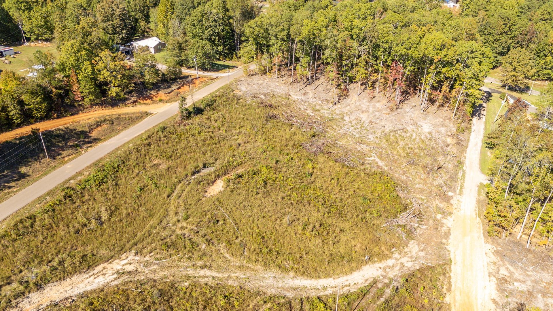 0 Greenleaf Loop Savannah, TN 38372 - Photo 12 of 27 a view of a yard with large trees