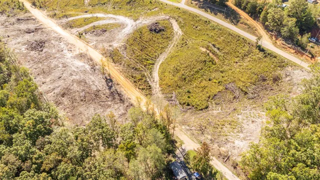 a view of a yard with trees
