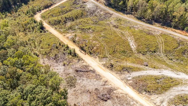 a view of a yard with a house