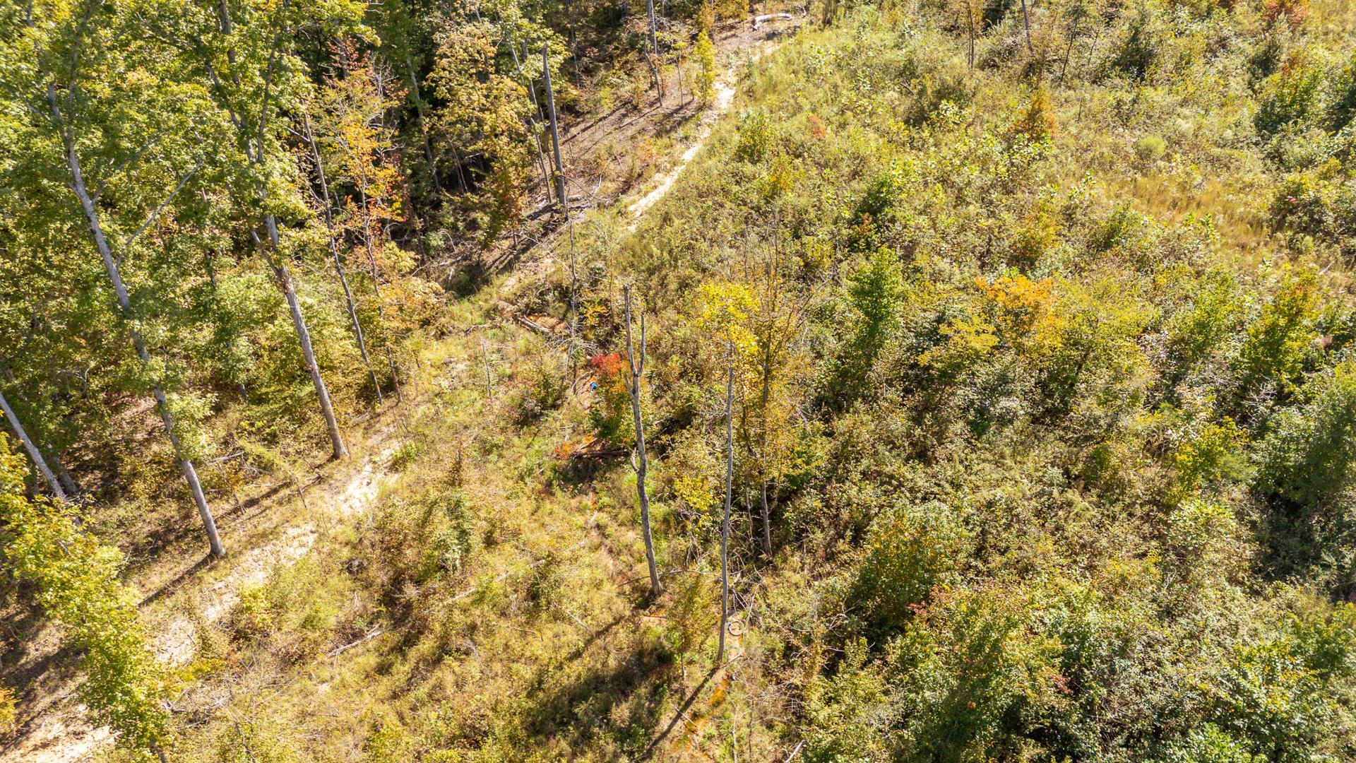 0 Greenleaf Loop Savannah, TN 38372 - Photo 19 of 27 a view of a yard