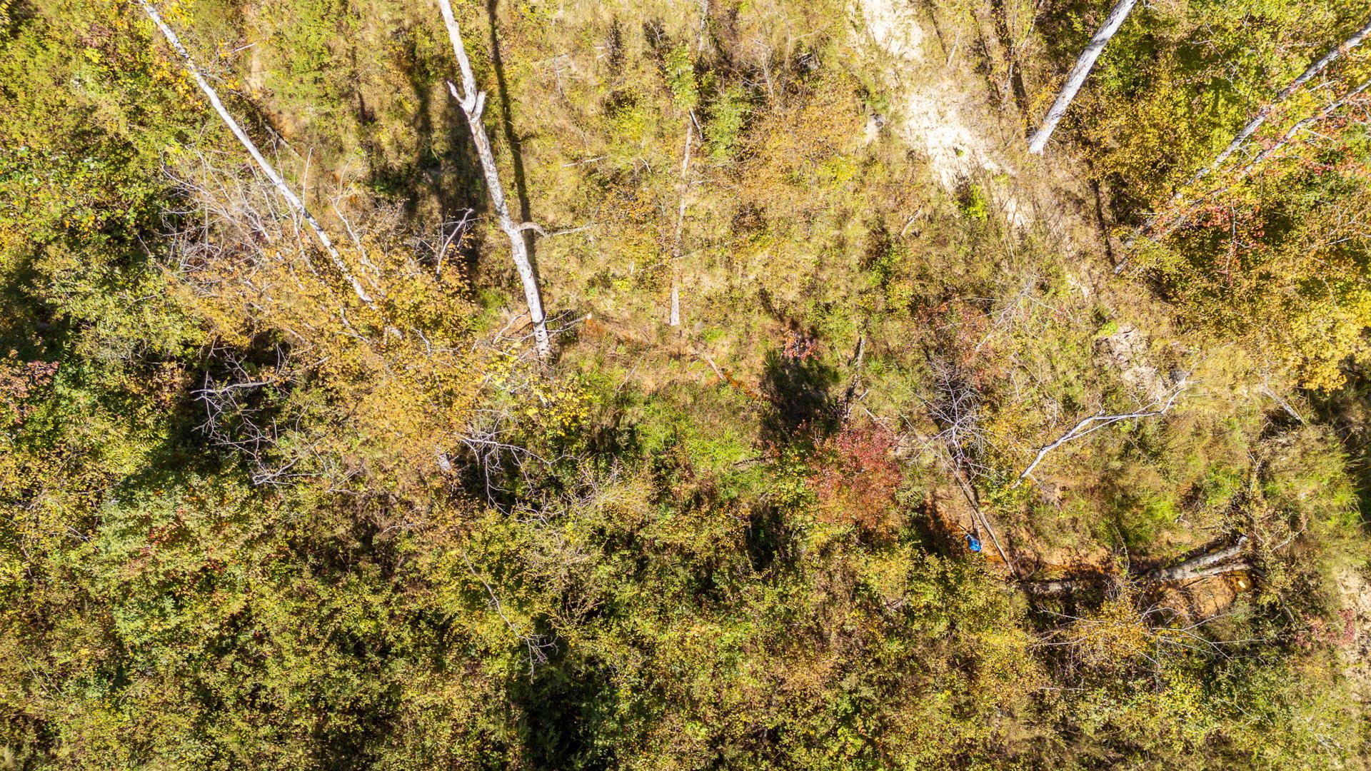 0 Greenleaf Loop Savannah, TN 38372 - Photo 20 of 27