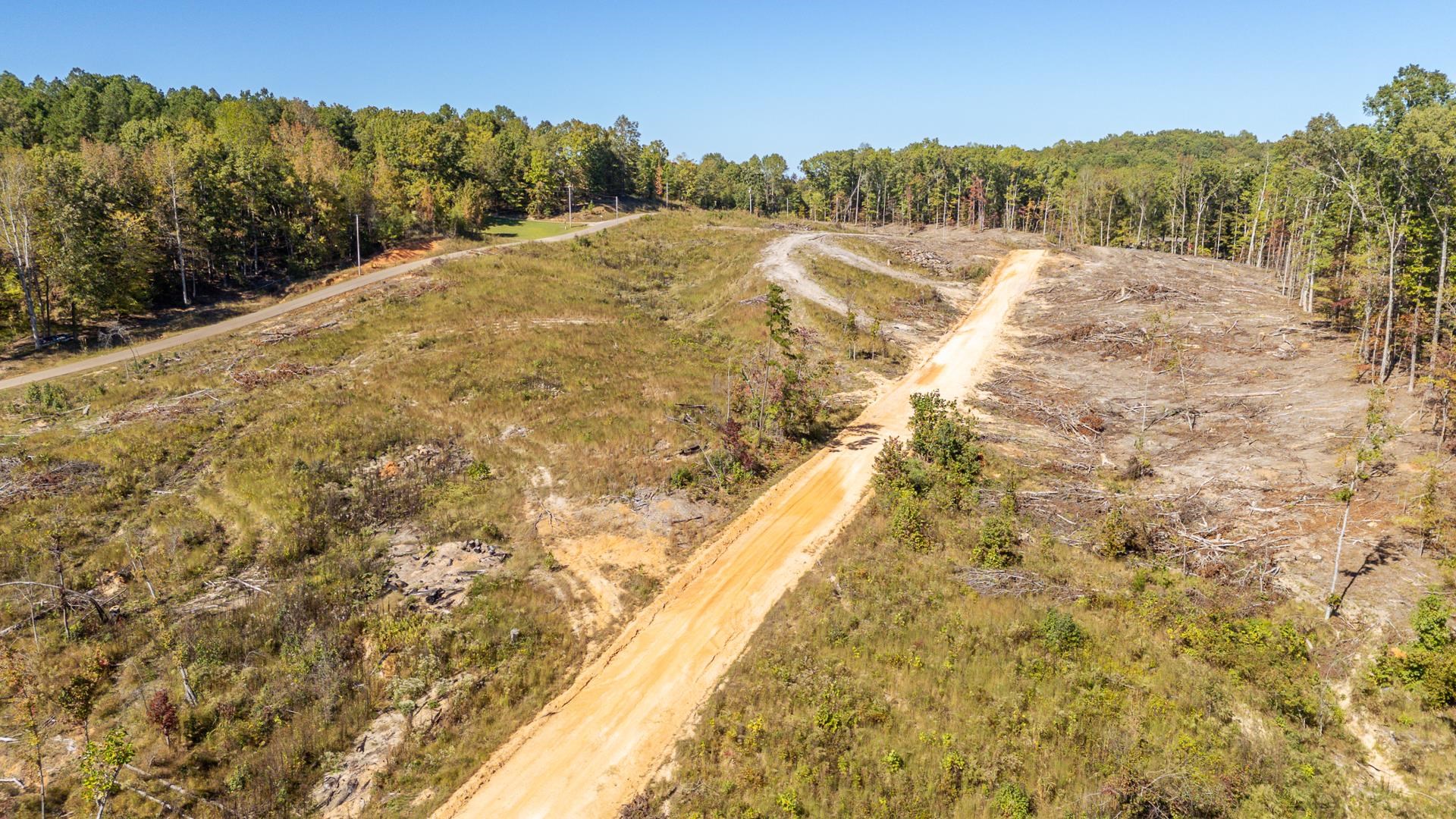 0 Greenleaf Loop Savannah, TN 38372 - Photo 21 of 27 a view of a dry yard with trees
