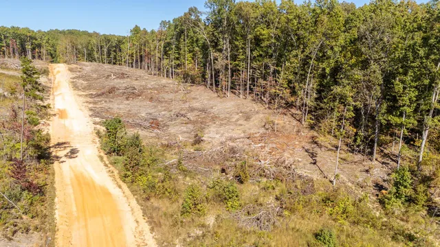 $75,000 | 0 Greenleaf Loop, Savannah, TN 38372